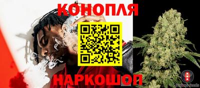 мдпв Малоярославец