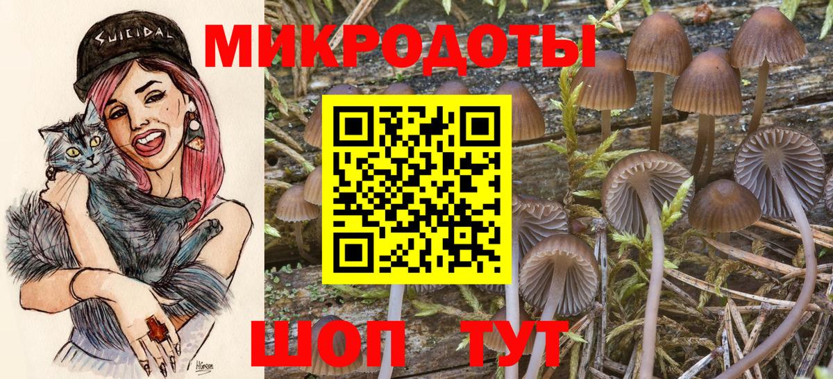 Ухта  Псилоцибиновые грибы Psilocybe  что такое   Вход с VPN  Галлюциногенные грибы ЛСД 