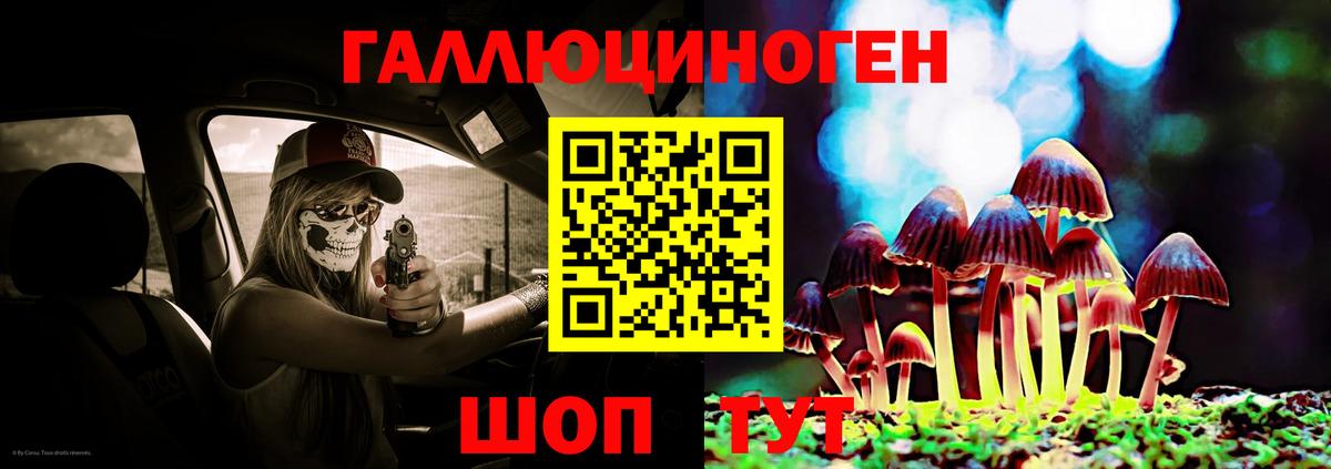 Галлюциногенные грибы Psilocybine cubensis Ухта